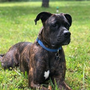 Meet your Posher, Lorie